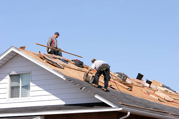 Best Roof Moss and Algae Removal  in West Carrollton, OH